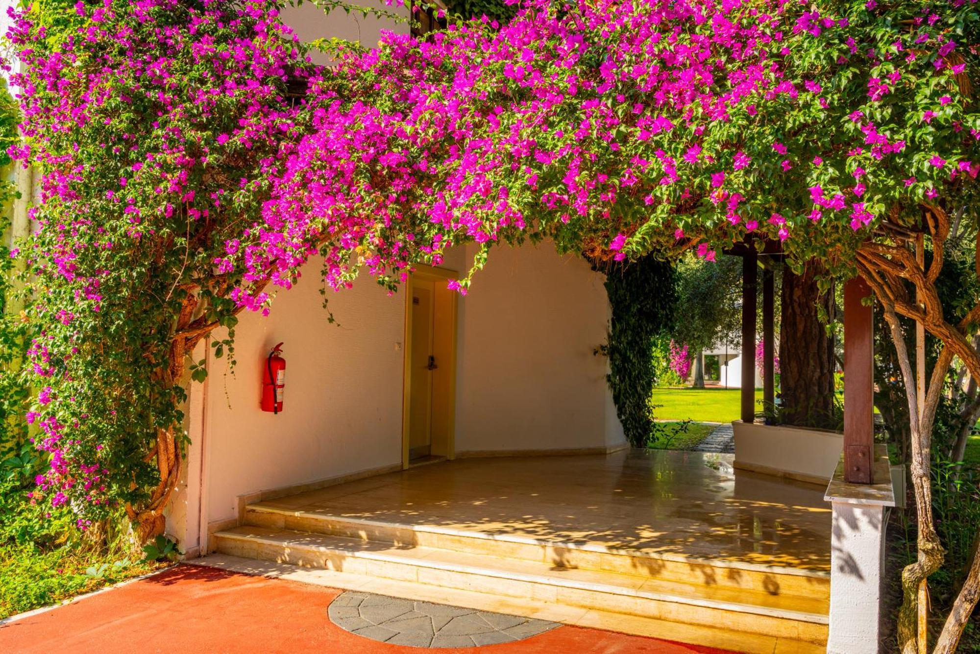 Emelda Sun Club Kemer Exterior foto